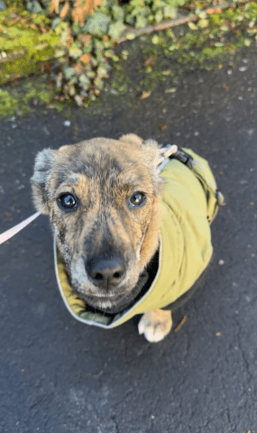 2025 12 09 08 48 20 Chat Perviz, Wahab Microsoft Teams