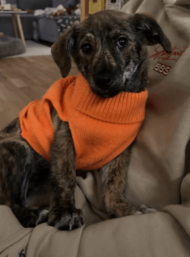 2025 12 09 08 48 24 Chat Perviz, Wahab Microsoft Teams