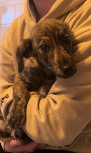 2025 12 09 08 48 29 Chat Perviz, Wahab Microsoft Teams