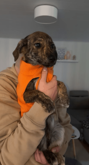 2025 12 09 08 48 43 Chat Perviz, Wahab Microsoft Teams