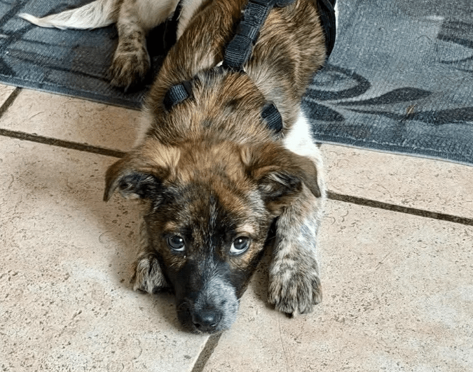 2025 12 09 09 18 12 Greenshot