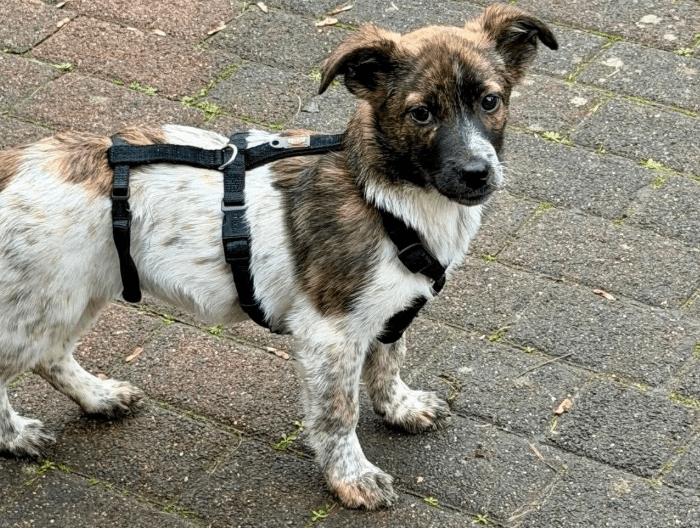 2025 12 09 09 18 16 Greenshot