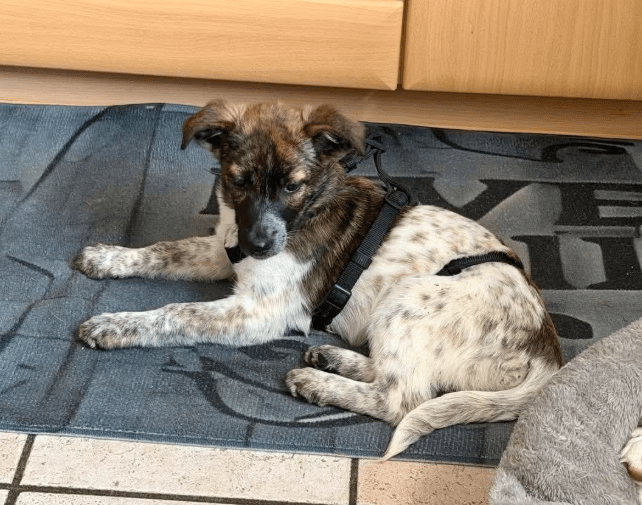 2025 12 09 09 18 21 Greenshot