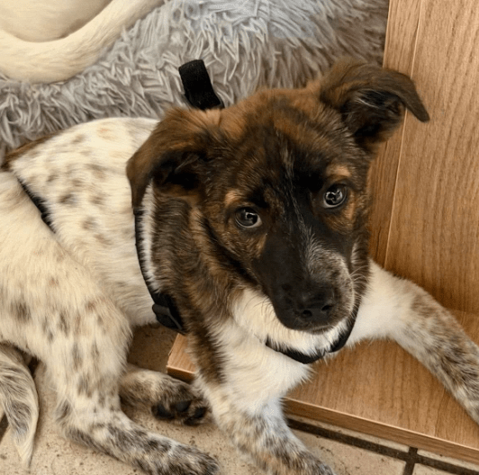 2025 12 09 09 18 25 Greenshot