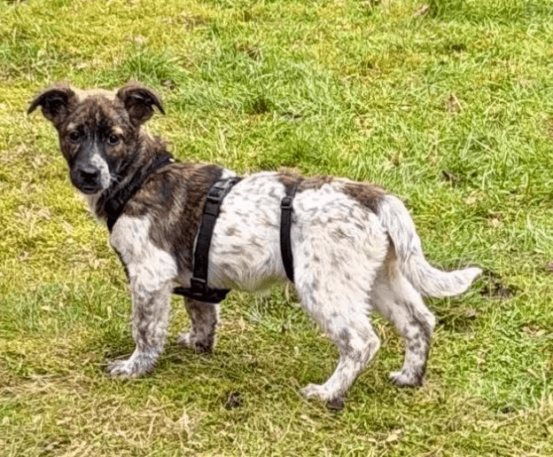 2025 12 09 09 18 32 Greenshot