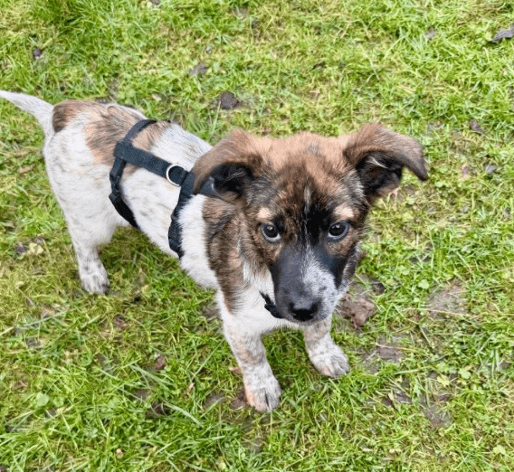 2025 12 09 09 18 36 Greenshot