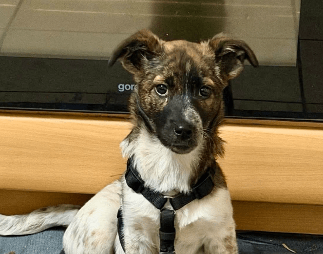 2025 12 09 09 18 41 Greenshot