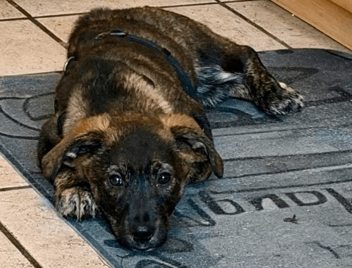 2025 12 09 09 20 11 Greenshot