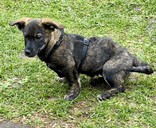 2025 12 09 09 20 16 Greenshot