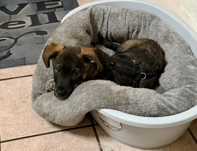 2025 12 09 09 20 22 Greenshot