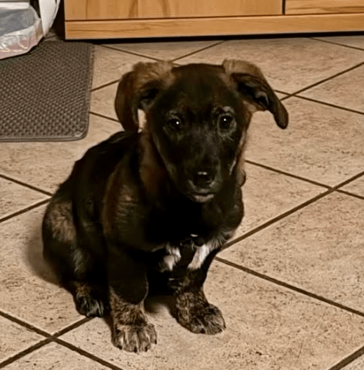 2025 12 09 09 20 26 Greenshot