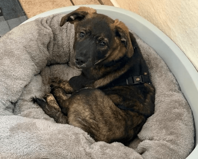 2025 12 09 09 20 33 Greenshot