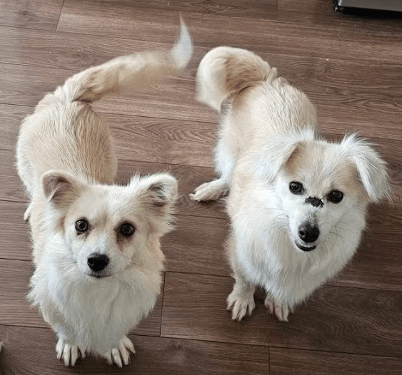 2025 12 09 09 22 03 Greenshot