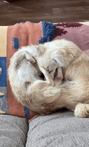 2025 12 09 09 22 08 Greenshot