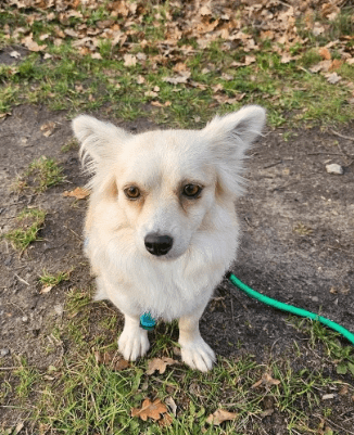 2025 12 09 09 22 13 Greenshot