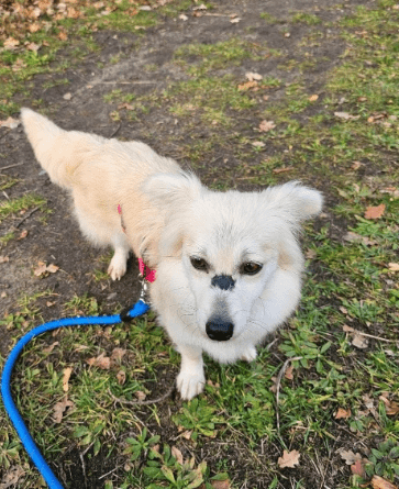 2025 12 09 09 22 17 Greenshot