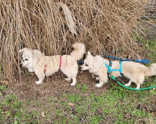 2025 12 09 09 22 20 Greenshot