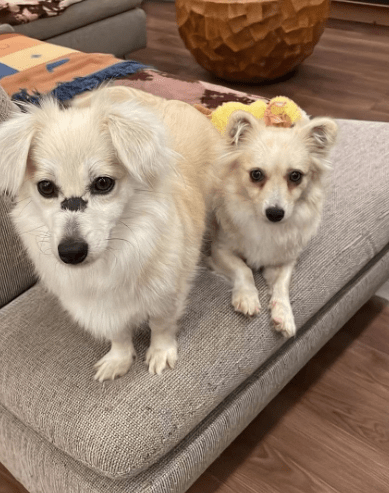 2025 12 09 09 22 24 Greenshot