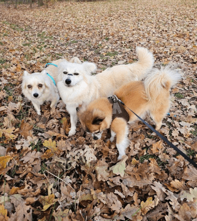 2025 12 09 09 22 29 Greenshot