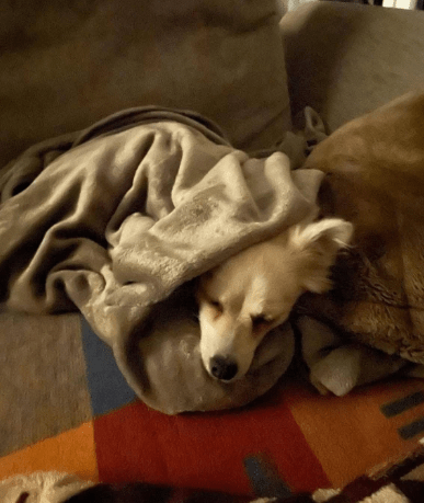 2025 12 09 09 22 35 Greenshot