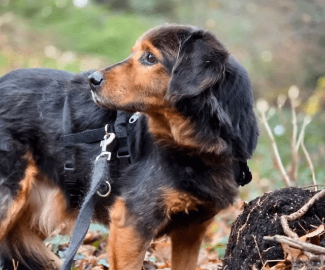 2025 12 09 09 29 09 Greenshot