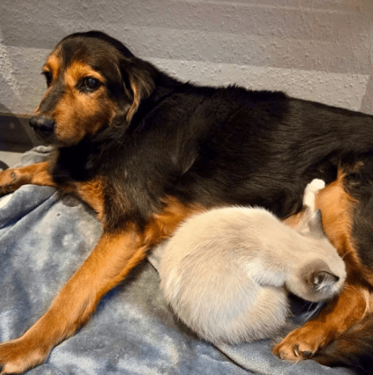 2025 12 09 09 29 13 Greenshot