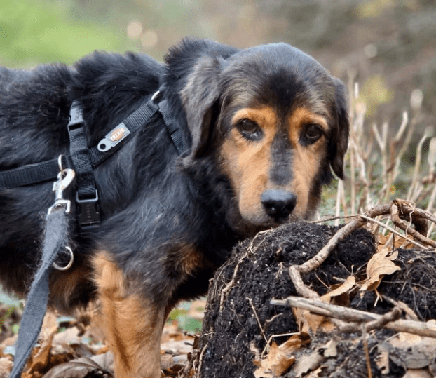 2025 12 09 09 29 17 Greenshot