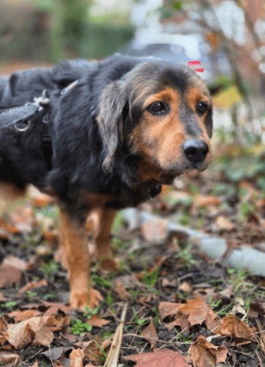 2025 12 09 09 29 30 Greenshot