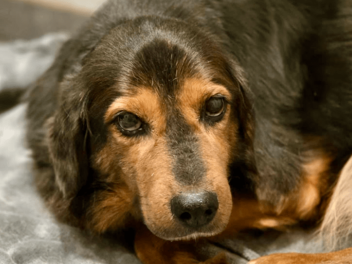 2025 12 09 09 29 36 Greenshot