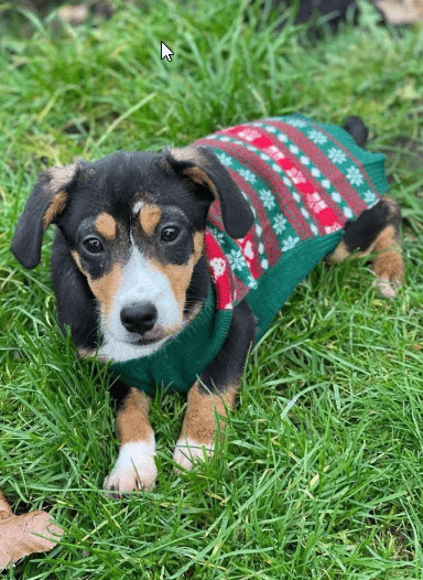 2025 12 17 08 31 54 Unbenannt Besprechung