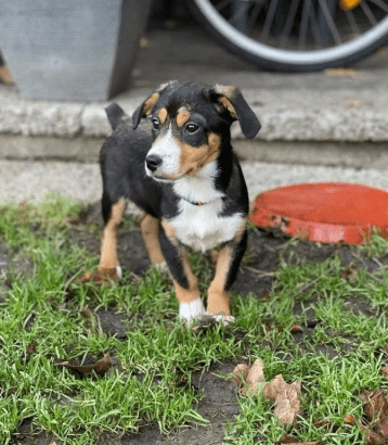 2025 12 17 08 31 58 Unbenannt Besprechung