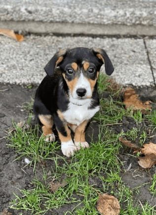 2025 12 17 08 32 02 Unbenannt Besprechung