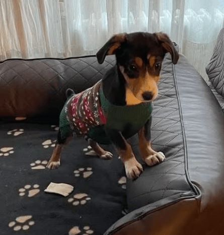 2025 12 17 08 32 05 Unbenannt Besprechung