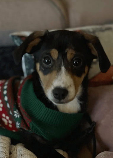 2025 12 17 08 32 11 Unbenannt Besprechung