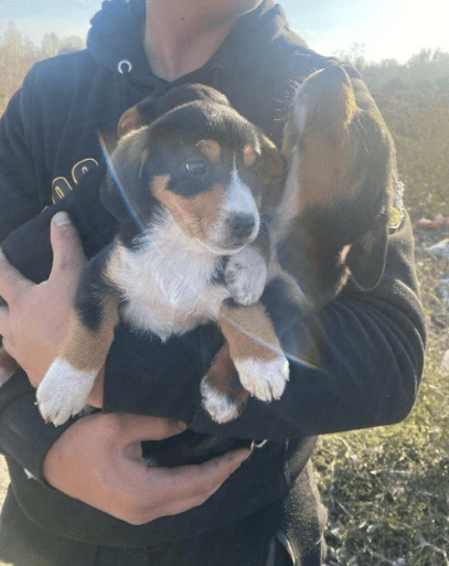 2025 12 17 08 32 15 Unbenannt Besprechung