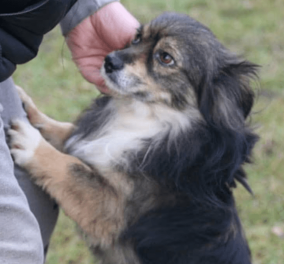 2025 12 17 08 36 10 Unbenannt Besprechung