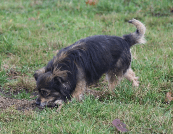 2025 12 17 08 36 22 Unbenannt Besprechung