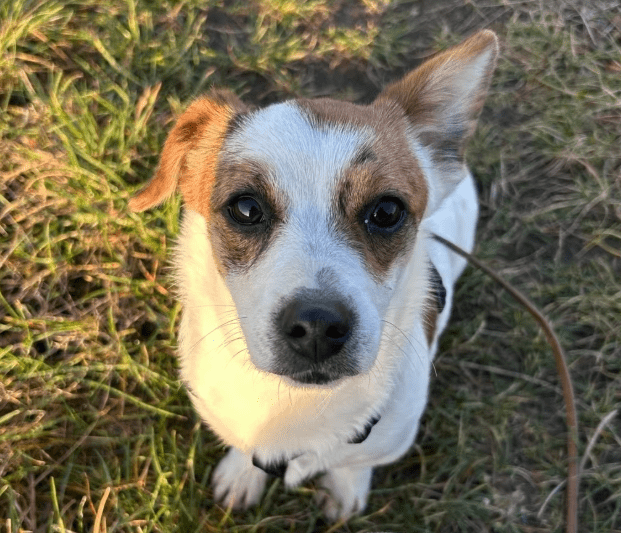 2025 12 17 08 38 02 Unbenannt Besprechung