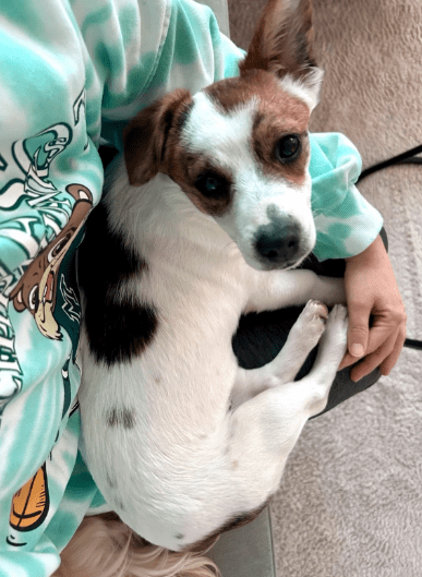 2025 12 17 08 38 06 Unbenannt Besprechung