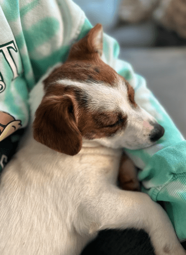 2025 12 17 08 38 12 Unbenannt Besprechung