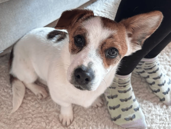 2025 12 17 08 38 16 Unbenannt Besprechung