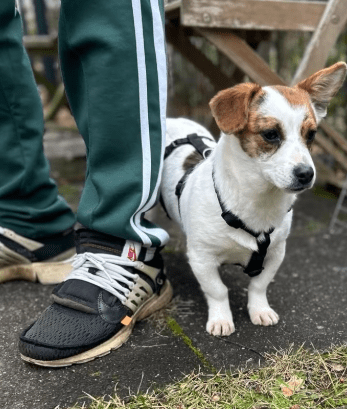 2025 12 17 08 38 23 Unbenannt Besprechung