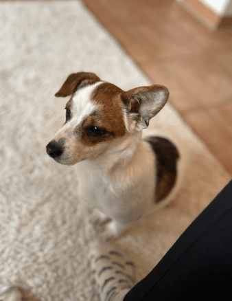 2025 12 17 08 38 29 Unbenannt Besprechung