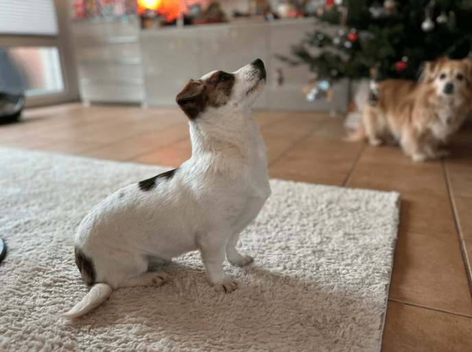 2025 12 17 08 38 34 Unbenannt Besprechung