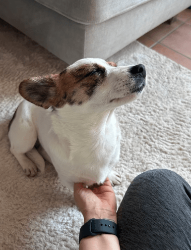 2025 12 17 08 38 41 Unbenannt Besprechung