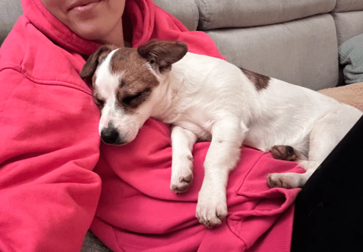 2025 12 17 08 38 47 Unbenannt Besprechung