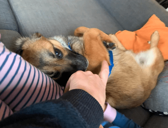 2025 12 17 09 05 56 Unbenannt Besprechung