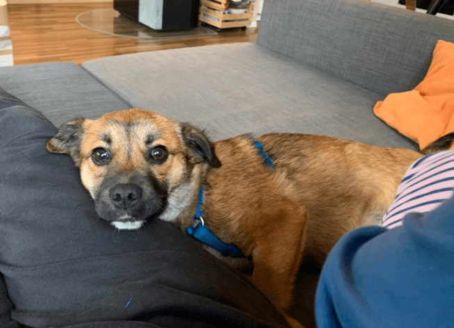 2025 12 17 09 06 02 Unbenannt Besprechung