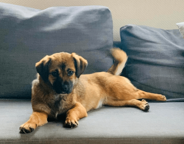 2025 12 17 09 06 05 Unbenannt Besprechung