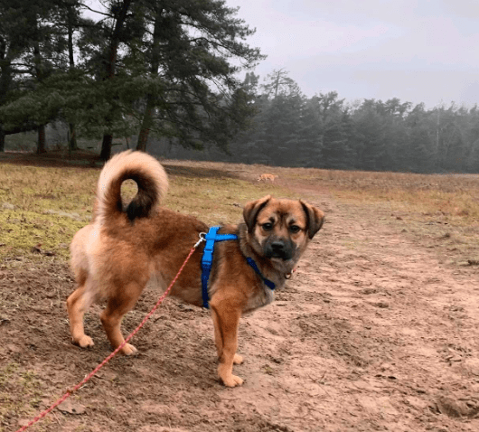 2025 12 17 09 06 11 Unbenannt Besprechung